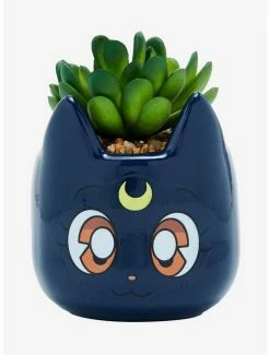 Anime Sailor Moon Luna Faux Succulent Planter