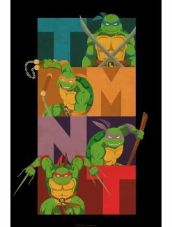 Cartoons Teenage Mutant Ninja Turtles Colorblock Team Pose Poster