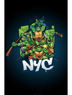 Cartoons Teenage Mutant Ninja Turtles NYC Action Pose Poster