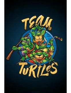 Cartoons Teenage Mutant Ninja Turtles Team Turtles Poster